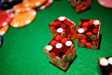 rp555 platform showing live dealer tables and sportsbook markets